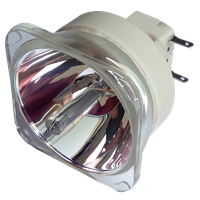 BENQ 5J.J8C05.001 Lampa utan modul