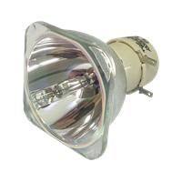 BENQ 5J.JC505.001 Lampa utan modul