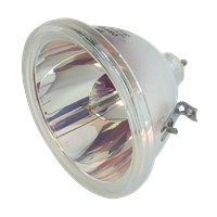 CLARITY LION WN-6720-UXP Lampa utan modul