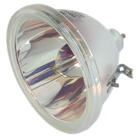 EIKI 610 265 8828 Lampa utan modul