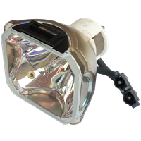 INFOCUS C460 Lampa utan modul