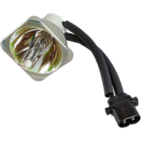 PHOENIX SHP60 Lampa utan modul